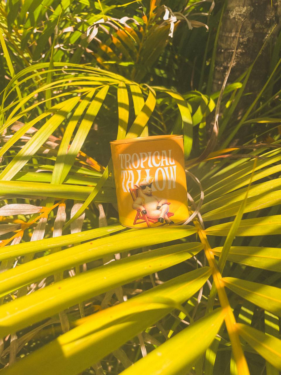 TROPICAL TALLOW, 50ml